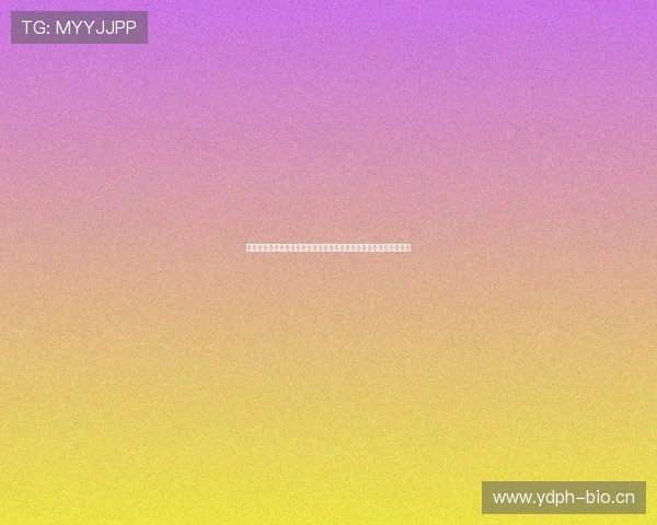 从缘来缘去看爱情在命运与选择之间反复错过又重逢的温柔漫长轨迹